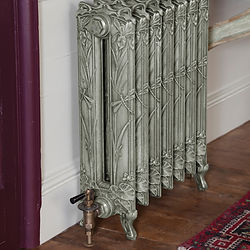 Dragonfly Cast Iron Radiator | Carron