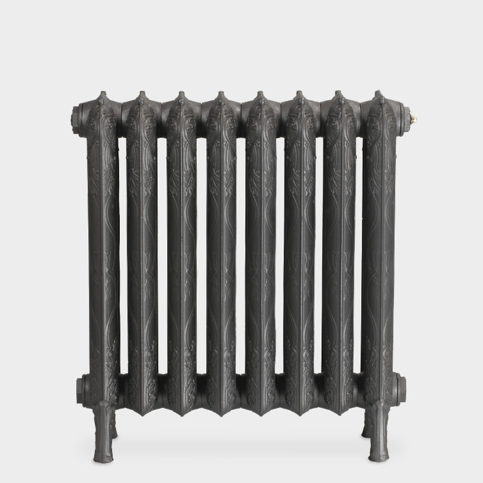 Thumbnail: Piccadilly Cast Iron Radiator | Paladin
