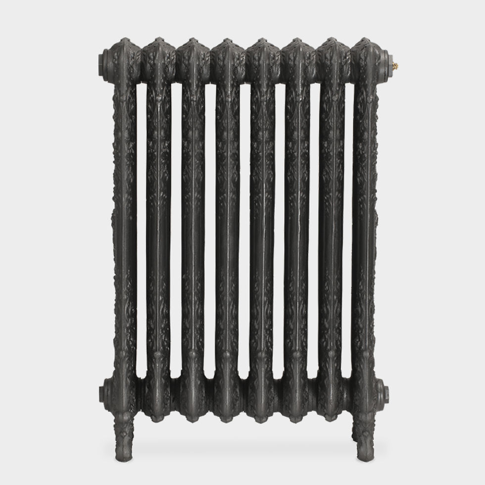 Thumbnail: Saint Paul Cast Iron Radiator | Paladin