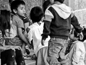 ¿Cómo comienza el proyecto?