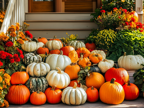 Los beneficios de la calabaza de castilla