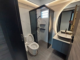 toliet-2-v3contract.jpg
