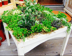 livingART tables 