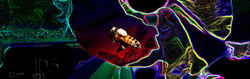 "Disco Bee"