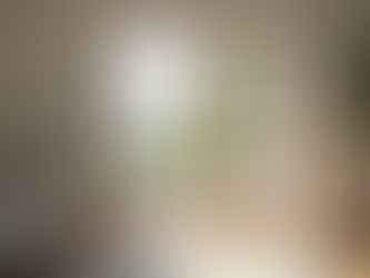 Enhance Efficiency with Energy-Efficient ProVia Windows