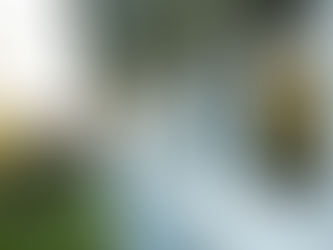 Features of the Best Replacement Windows