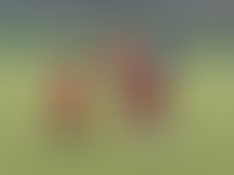 How Fishguard and Goodwick HC worked with a local primary school to enable children to enjoy hockey