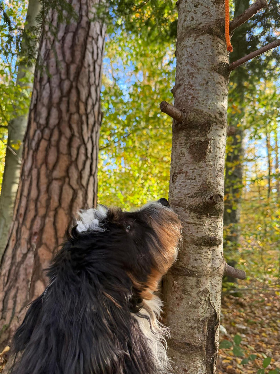 WhatsApp Image 2026-01-11 at 17.54.54