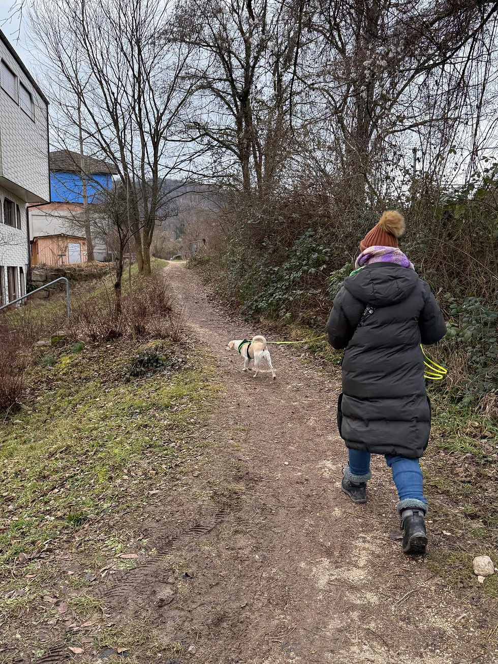 WhatsApp Image 2026-02-28 at 10.7