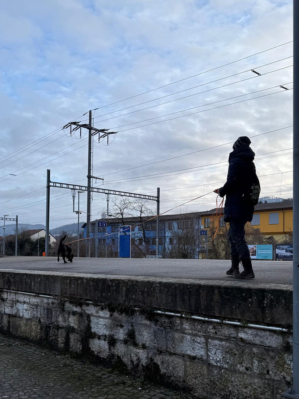 WhatsApp Image 2026-02-28 at 10.03.17