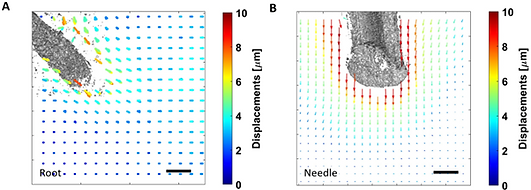 Root vs Needle Displacements.png