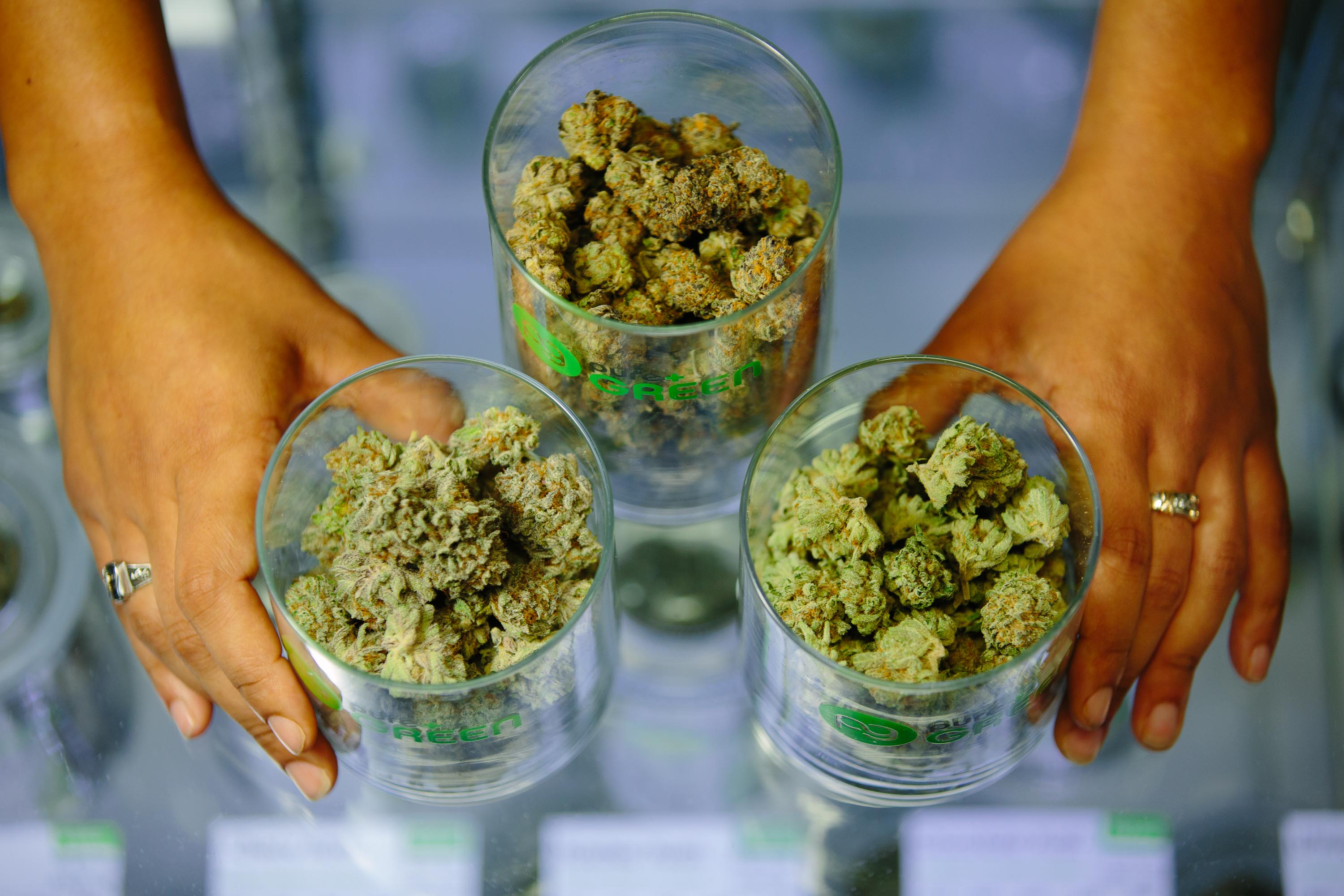 Cannabis