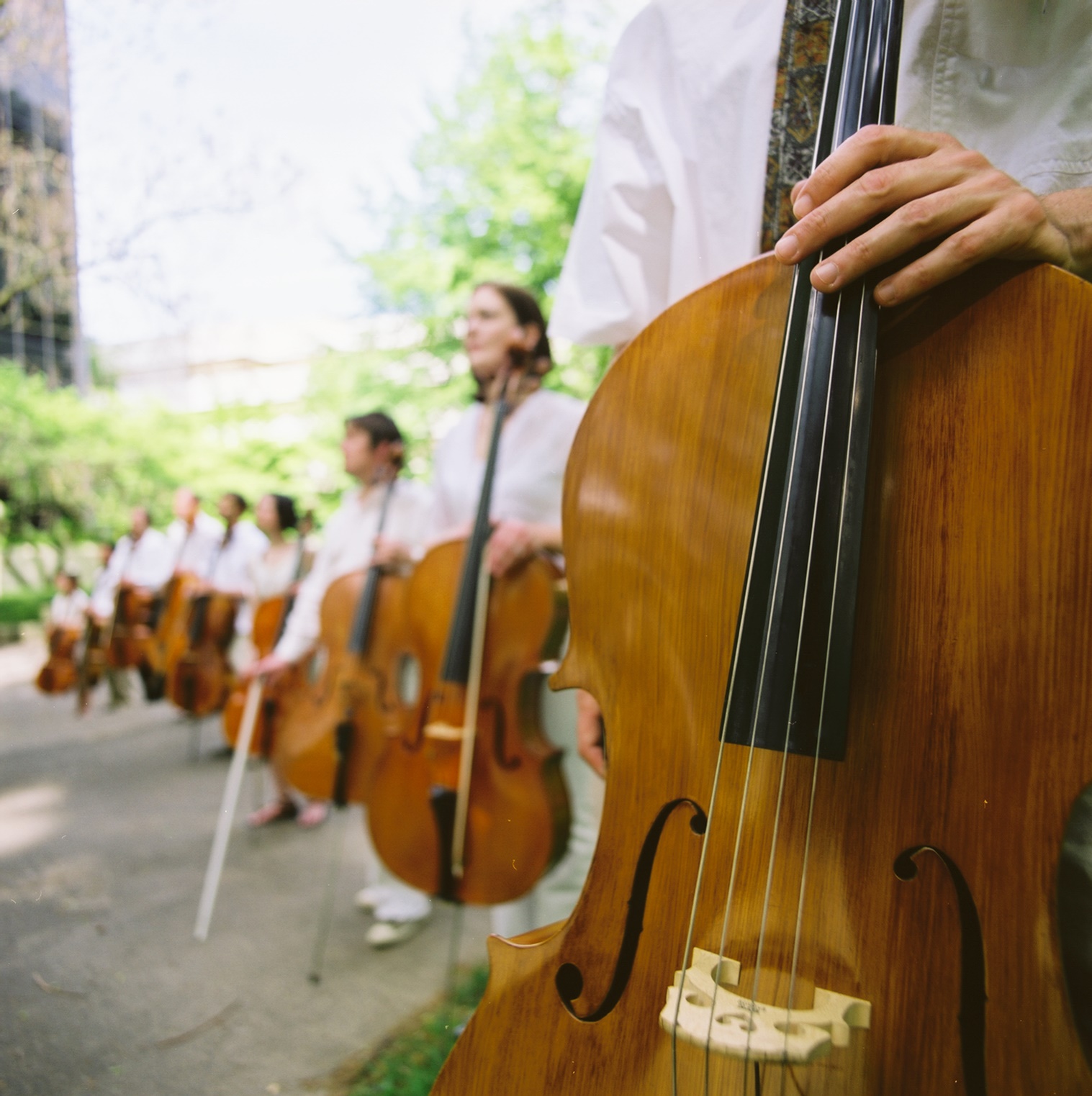 Portland Cello Project