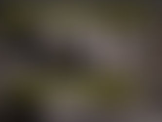 GREEN FORCE GEAR THE PUZZLE - BAU DEIN EIGENES CHESTRIG AUS JEDER TASCHE!