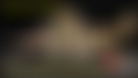 Helinox Cot One Leg Extensions - weil Höher besser ist.  