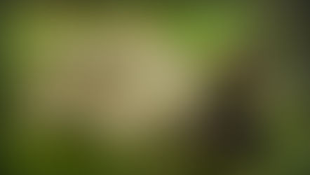 Privatsphäre in heiklen Situationen: Das LiteFighter 1 (ISS) Individual Shelter System vs TCOP