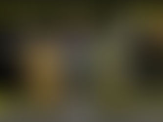 Die TASMANIAN TIGER Duffel Bag 45 & 65 - das perfekte Reisegepäck?