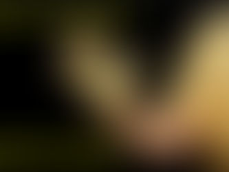 Mechanix High Dexterity Gloves - Endlich wie Spiderman klettern?