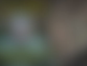 Jetzt gibts was auf die Ohren! - der ACLIMA LIGHTWOOL HUNTING SAFETY BEANIE