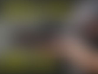 NORLITE USK G - DAS COOLSTE CARBINE-KIT FÜR DIE GLOCK?