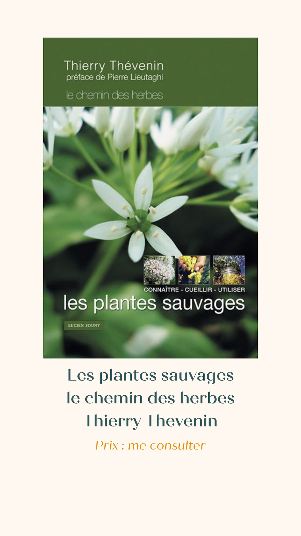 LE CHEMIN DES HERBES, Connaître, cueillir et utiliser les plantes sauvages