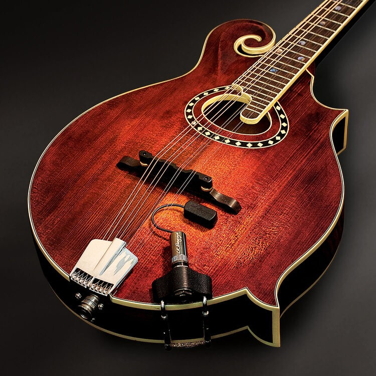 Thumbnail: LR Baggs Radius Mandolin Pickup