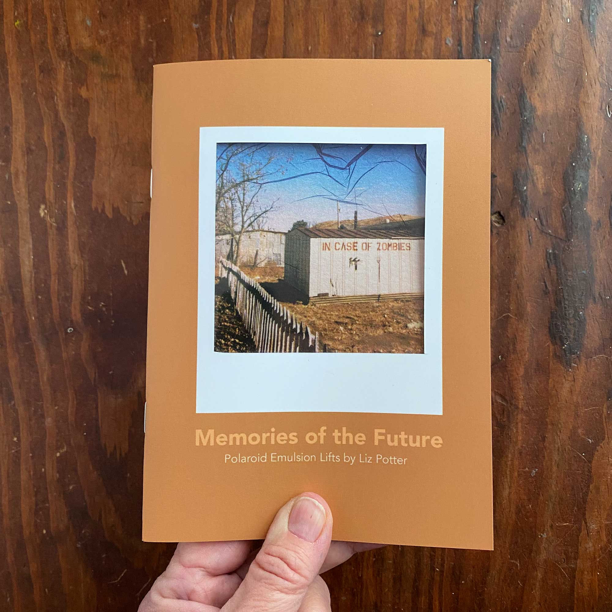 SOLD OUT- please read/Polaroid emulsion lift zine