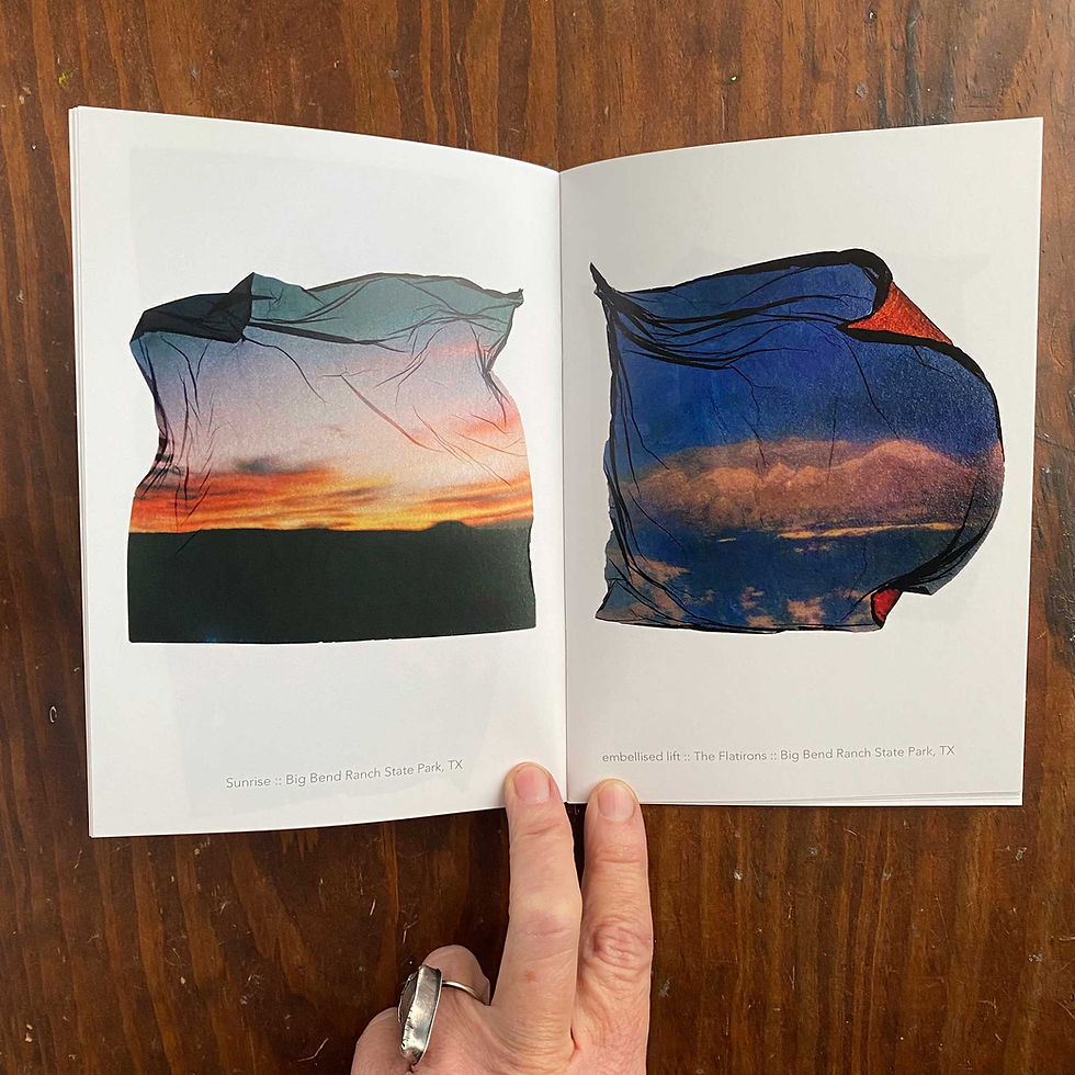 Thumbnail: SOLD OUT- please read/Polaroid emulsion lift zine