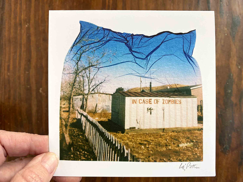 Thumbnail: Emulsion lifts/ Twin Peaks and Zombies