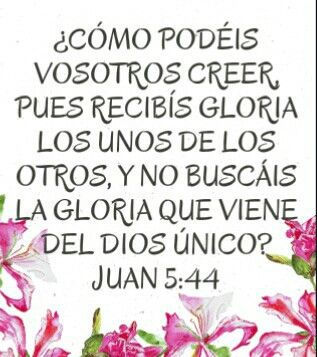 ¿CUÁL GLORIA BUSCAS?