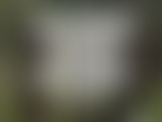 ¡TRASPASARON LOS LINDEROS!