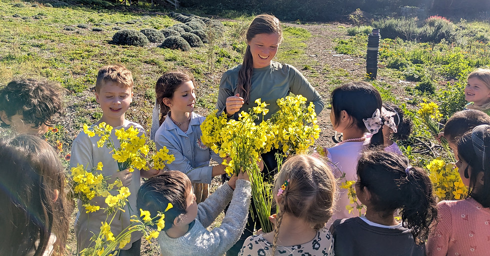 Young students at Ananda Valley farm harvesting flowers with their teacher