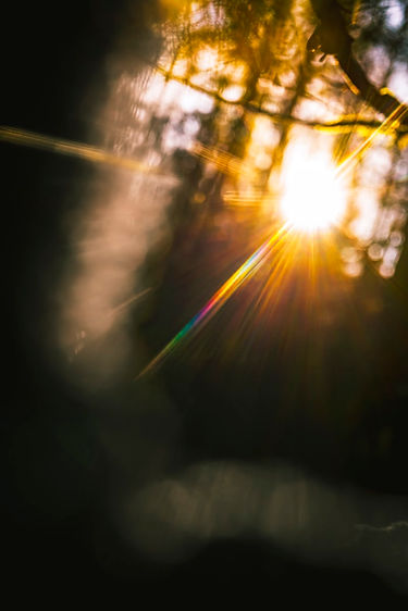 light rays.jpeg
