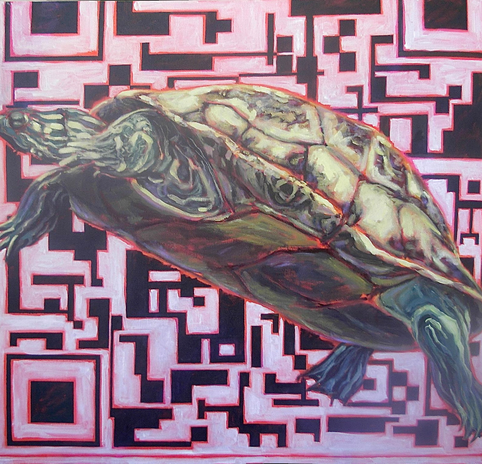Nature/QR Code II (Turtle)