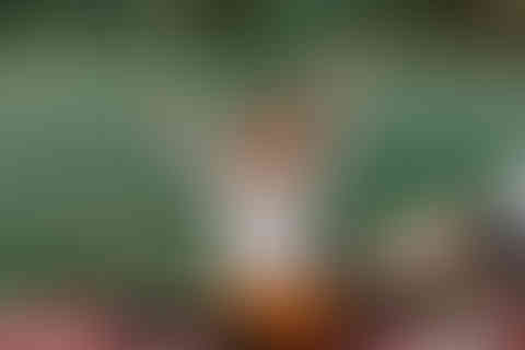 3A8A5625