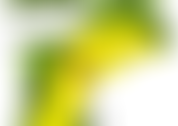 Several Inches of Rain Incoming to New England, Flooding Possible