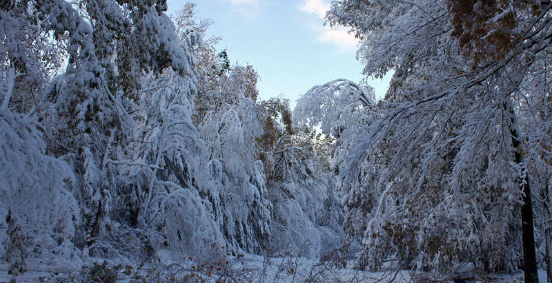 One of New England's Most Unusual Weather Events: The 1804 Snow Hurricane