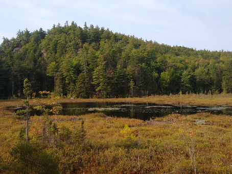 New England September Weather Outlook: Void of Summer Heat?