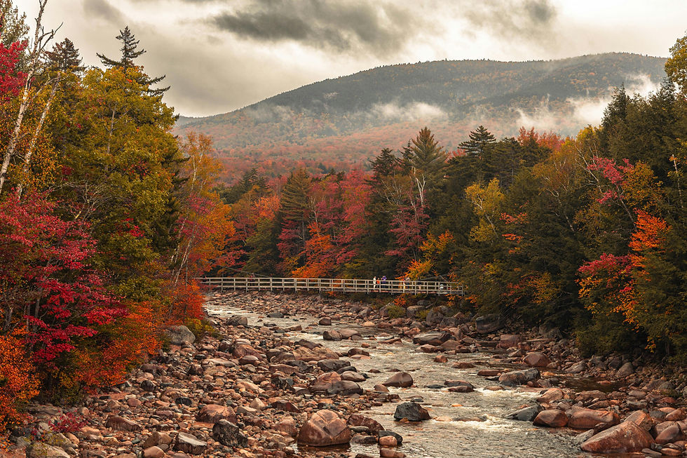 New England October Weather Outlook: Warmth Persists?