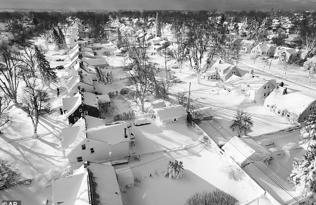 Christmas Week Blizzard Among Worst in Buffalo History, US Death Toll Tops 50