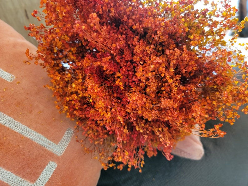 Broom Bloom dyed assorted colors