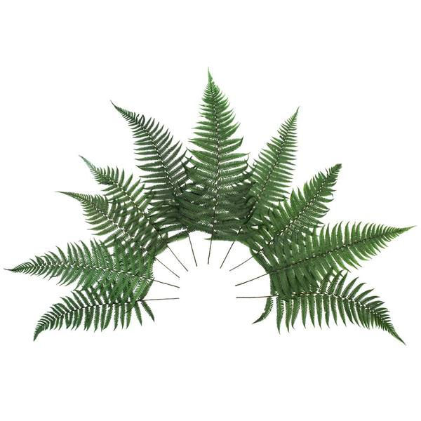 10 stems of preserved parchment ferns