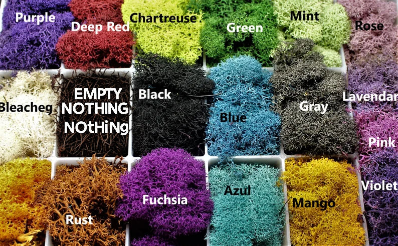 assorted reindeer moss