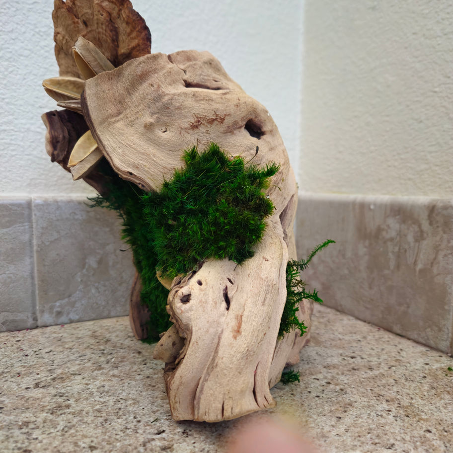 grapevine and moss centerpiece