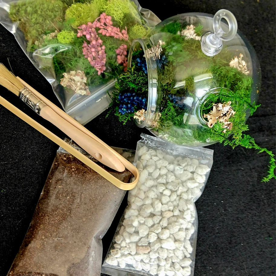Preserved moss diy terrarium kit
