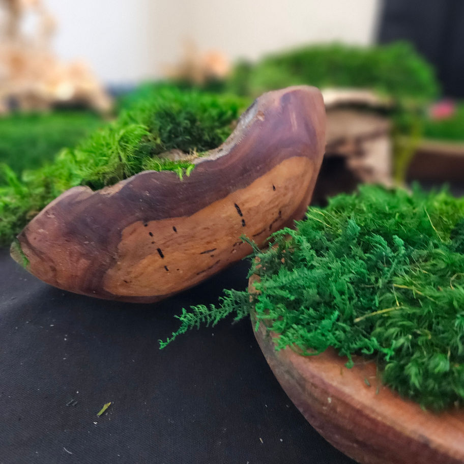 carved wooden bowl with preserved moss
