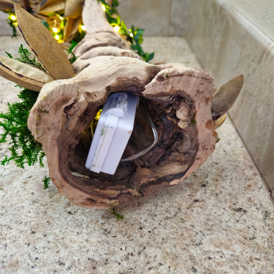 Lighted Grapewood Sculpture lamp