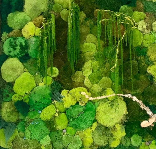 Assorted colors preserved pillow moss