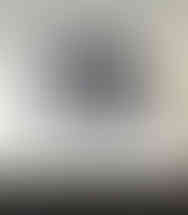 Dog portrait - Oil painting | Commissions open-Custom paintings available.