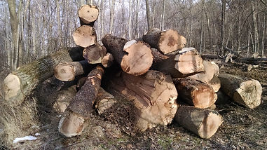 Log pile
